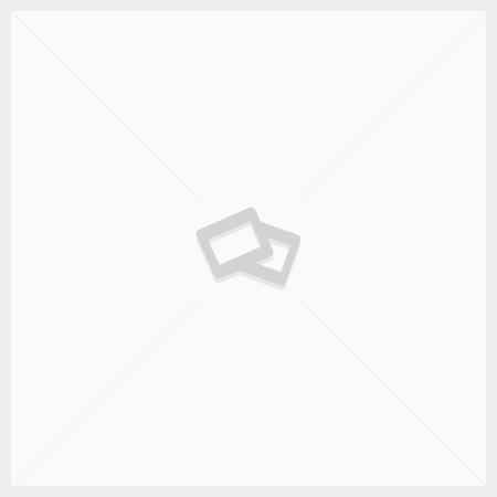 Perzik segmenten (4 x 2,5kg) image